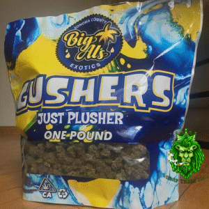 Gushers & Blue Sherbet
