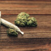 Addiction concept, marijuana joint with buds inflorescences